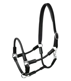 black/silver