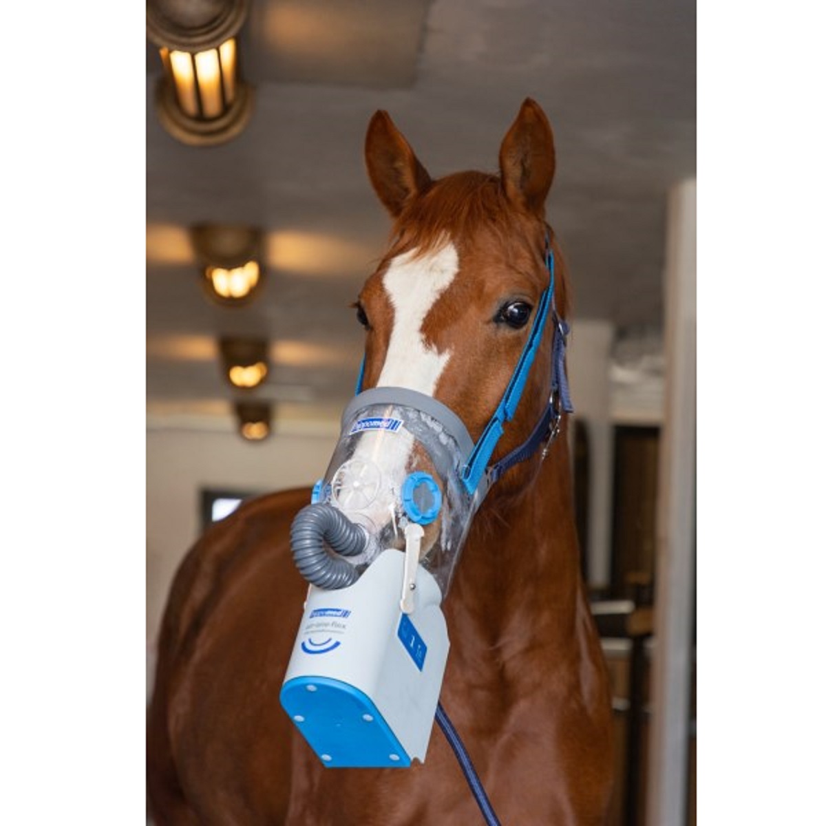 Hippomed ultraljudsinhalator horse AirOne Flex, batteri, utan mask