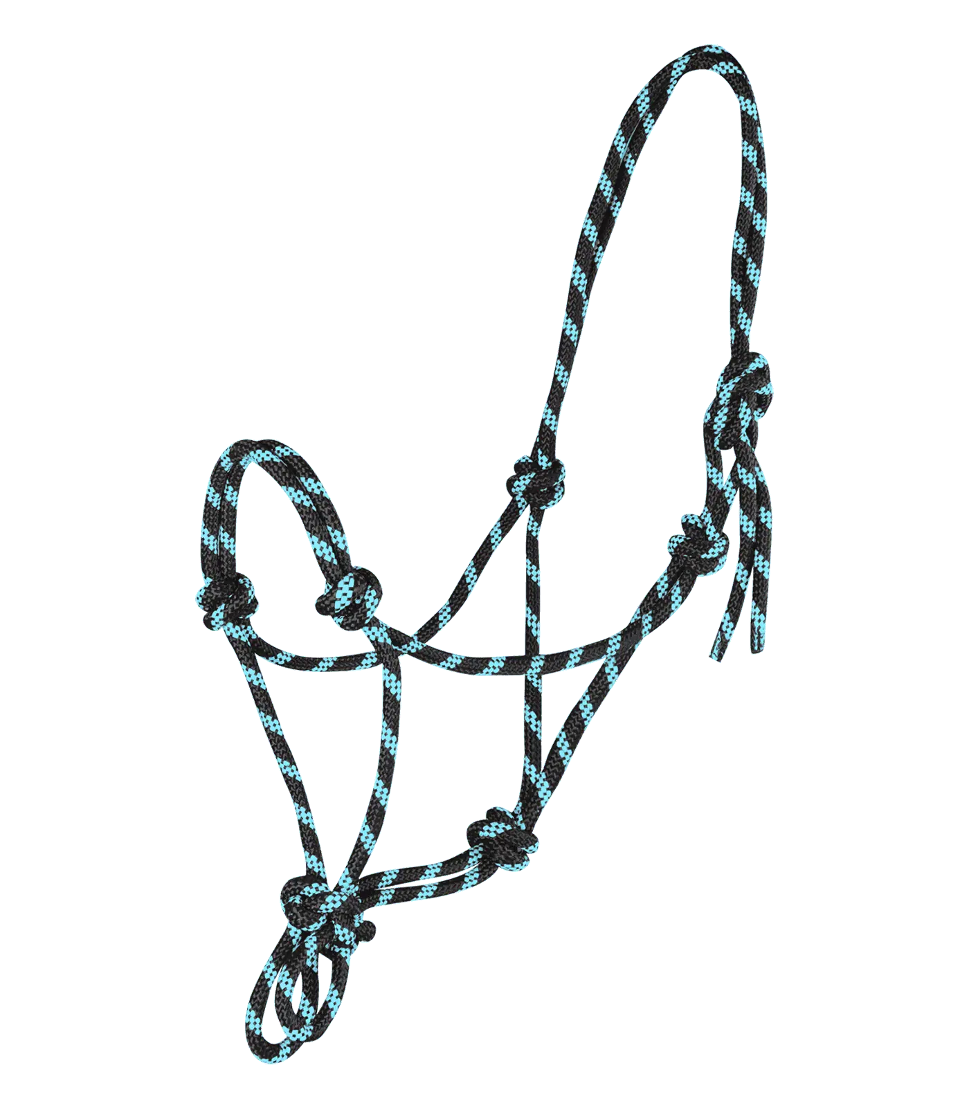 Knotted Halter black/mint COB