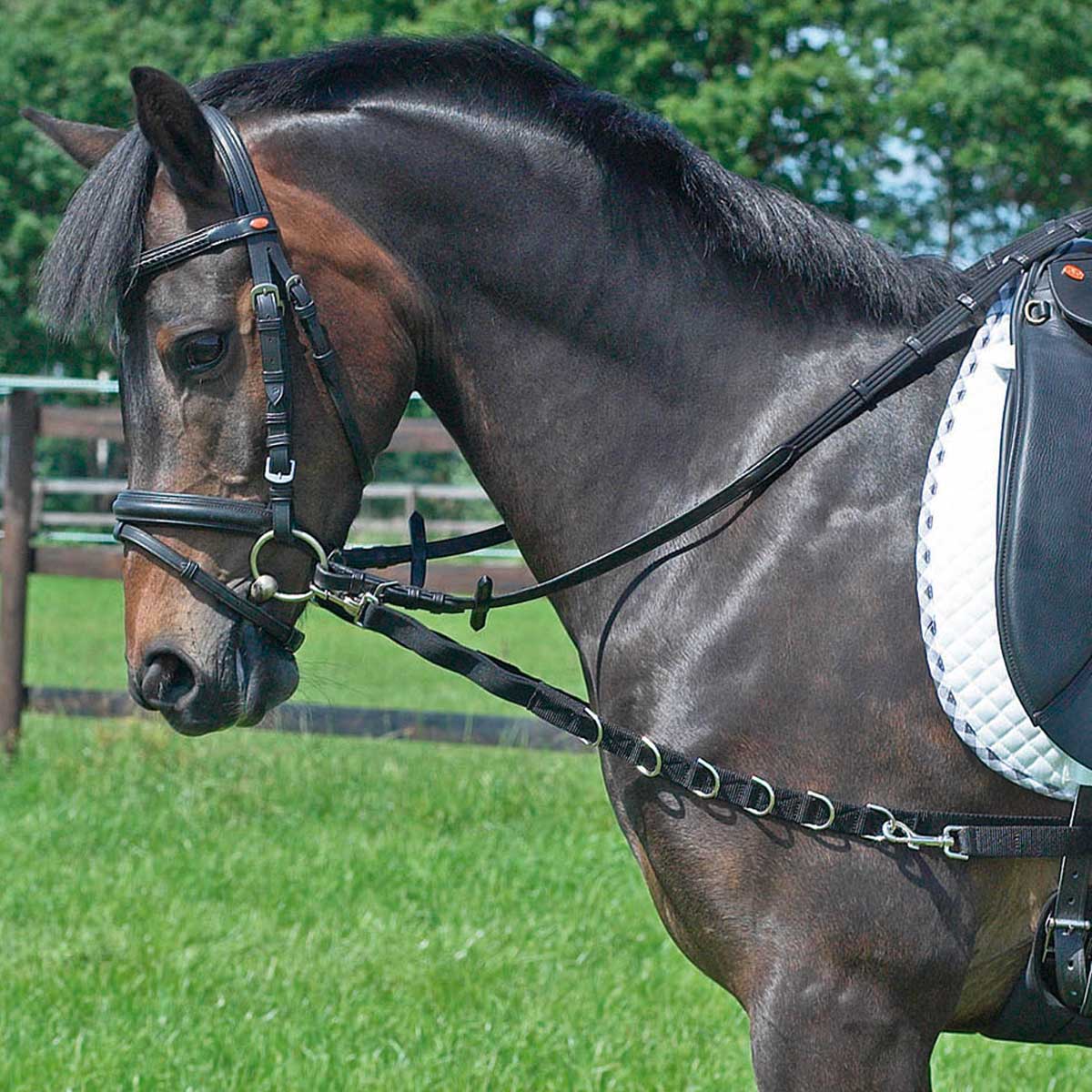 BUSSE OESEN-ELASTIK tyglar BUSSE OESEN-ELASTIK tyglar