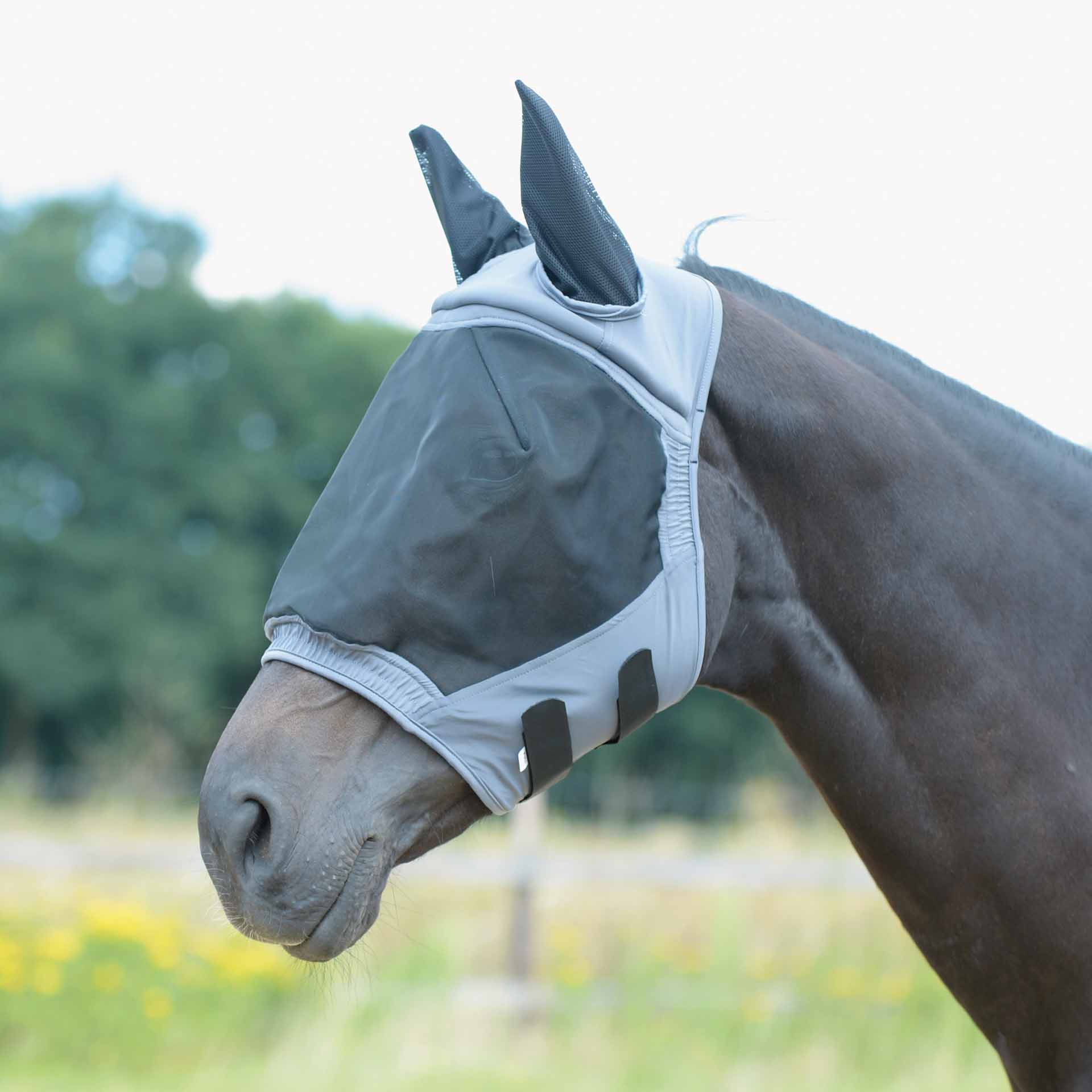 BUSSE Flugmask FLY BUCKLER II Mini-Shetty grå