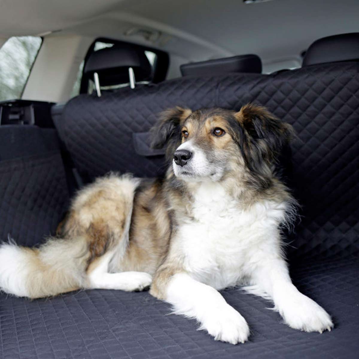 Dog Car Seat Cover PREMIUM