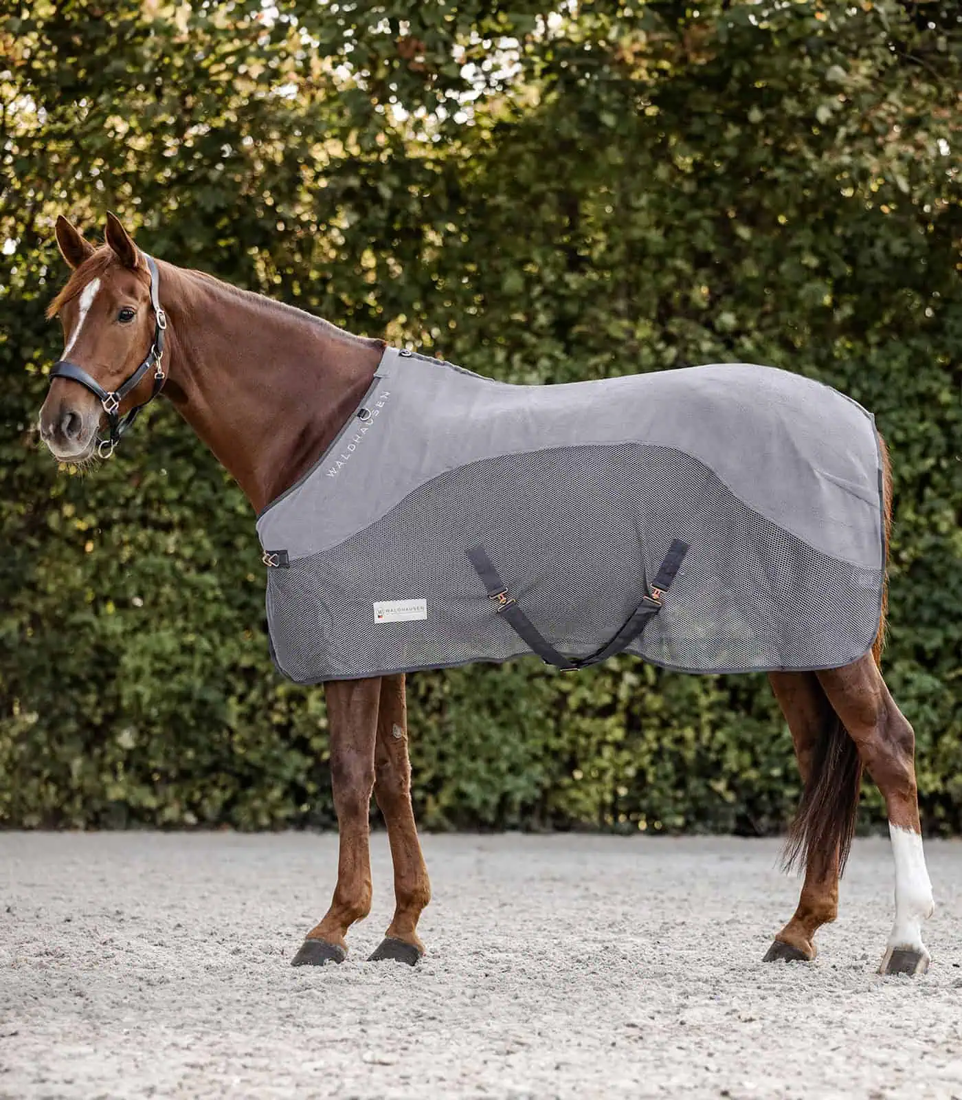 COMFORT Fleece Fly Rug gray 145