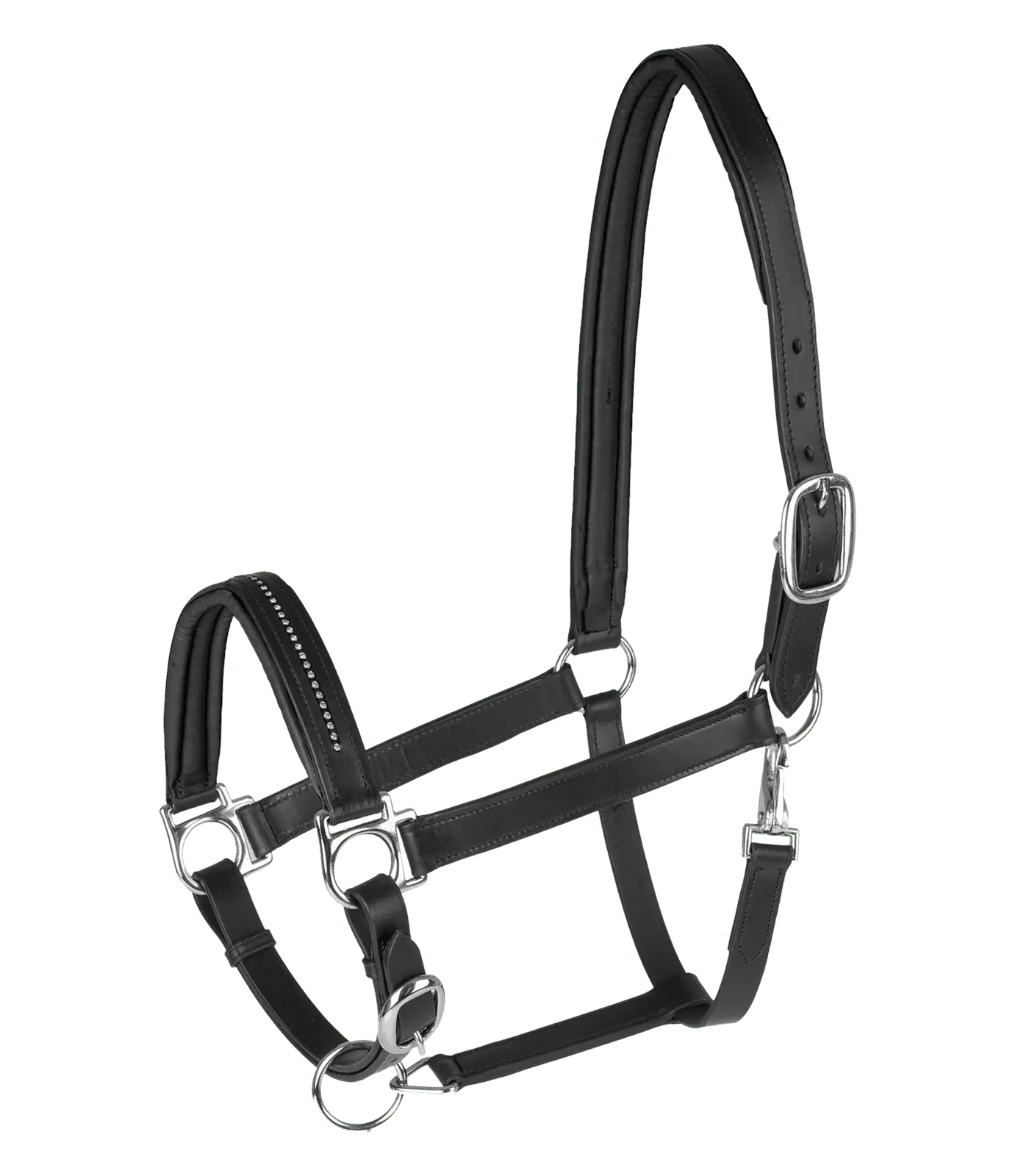 STAR Leather halter Diamond black Shetty