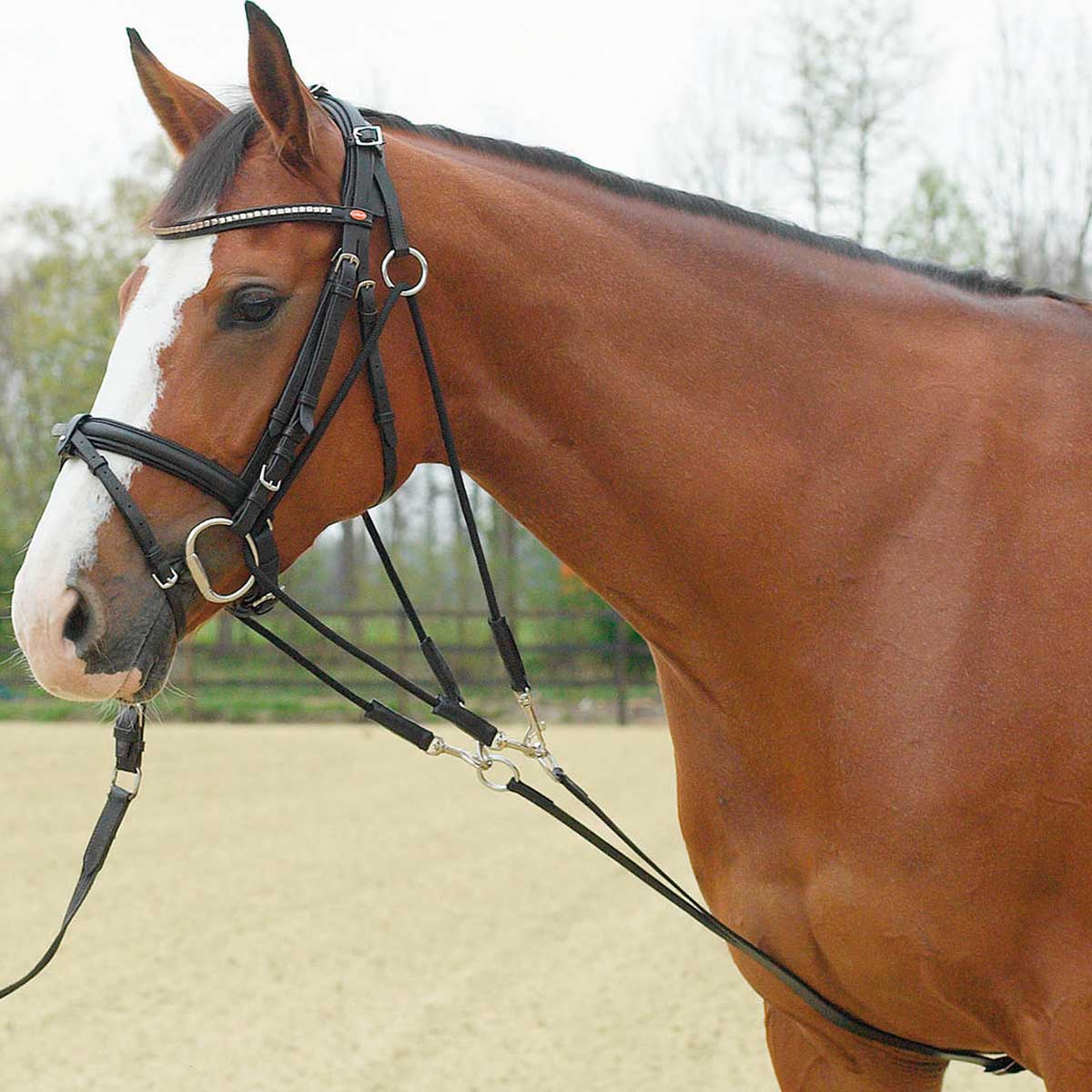 BUSSE Hjälpremmar Gogue BASIC BUSSE Hjälpremmar Gogue BASIC