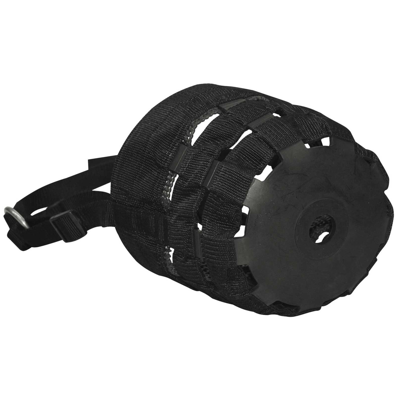 Hästmussla med halster COB