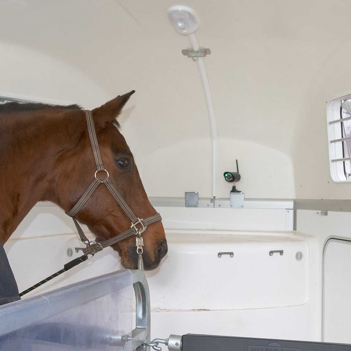 Kerbl SmartCam HD-kamera för övervakning av hästar, stall och släpvagn