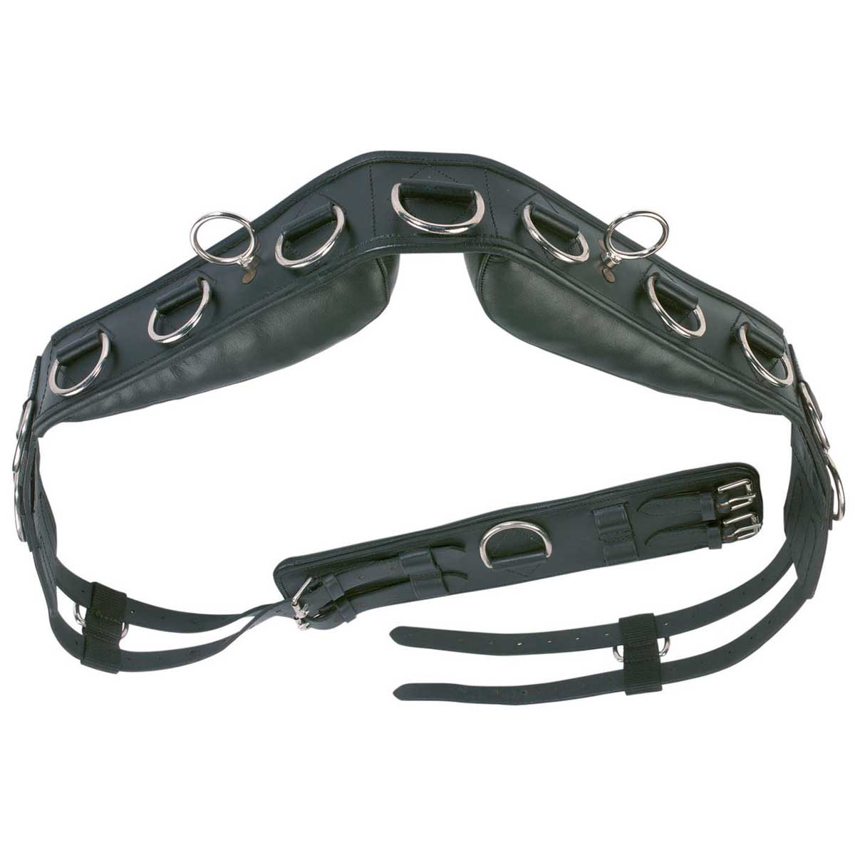 BUSSE Lunging Harness PROFESSIONAL LEATHER