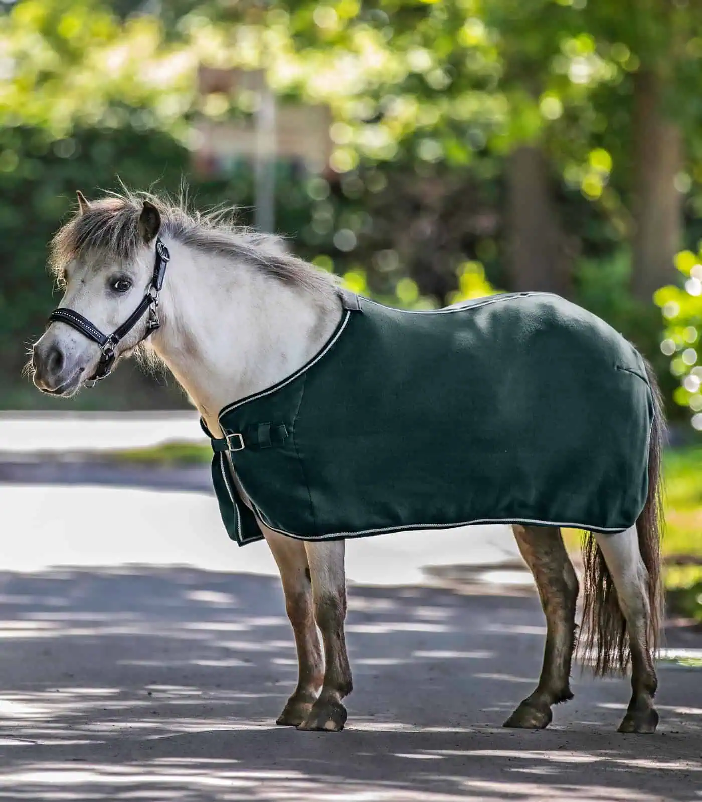 ECONOMIC Fleece Rug fir green 115