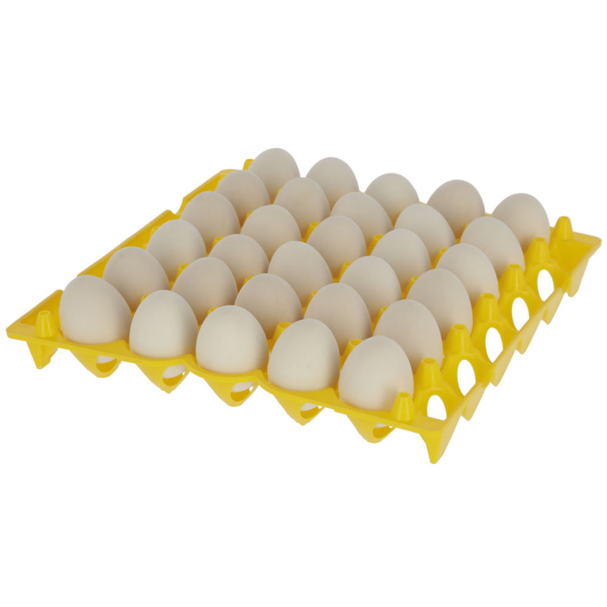 Förvaring av ägg
