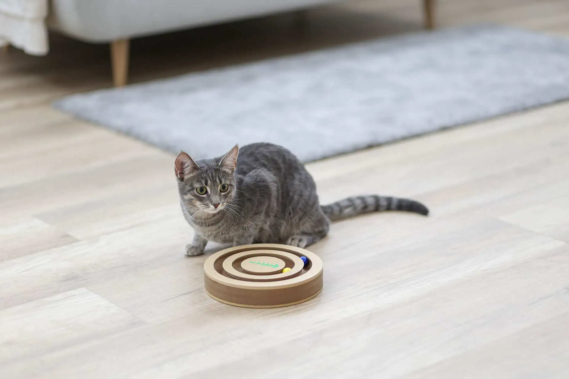 Tänkande och lärande leksak Spännande för katter 20x9cm