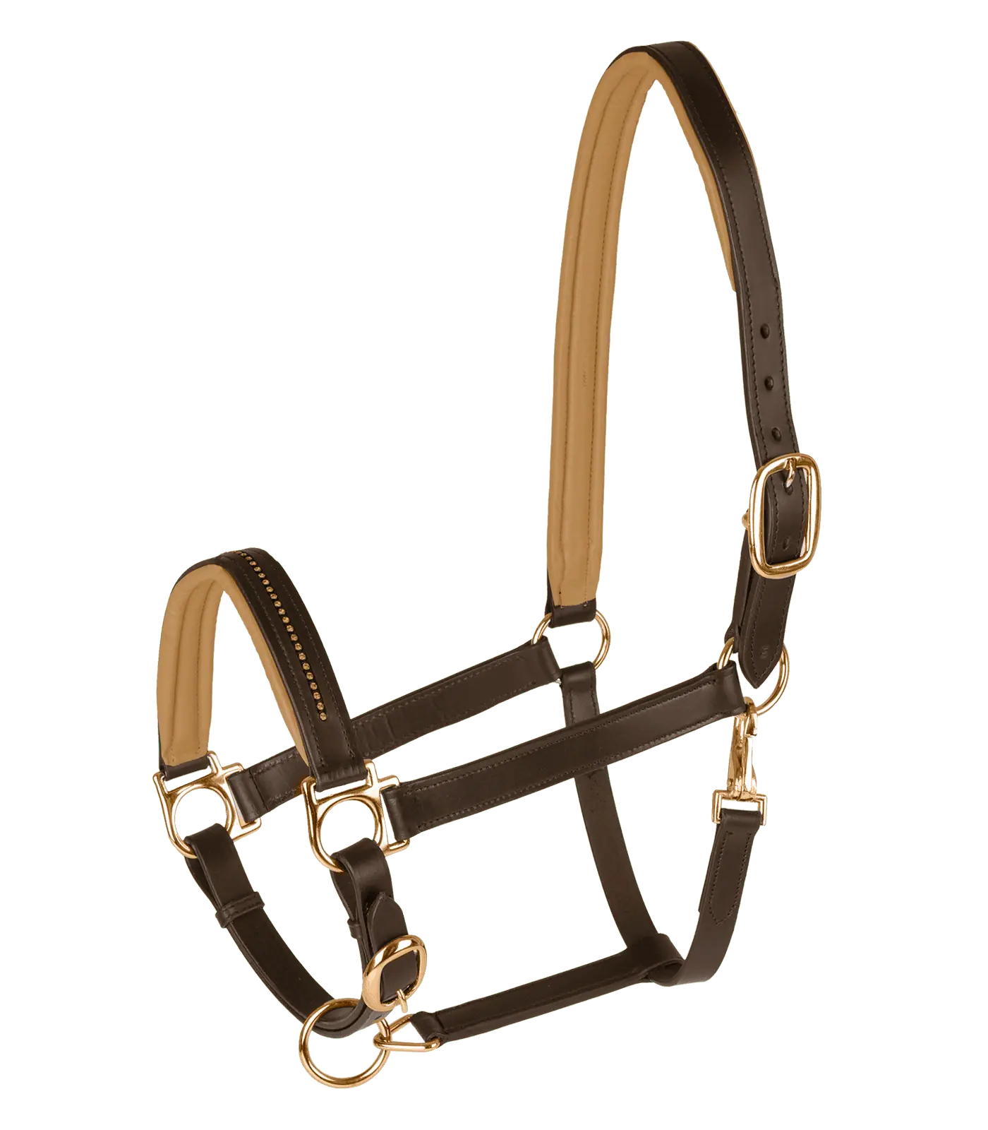 STAR Leather halter Diamond brown/gold COB