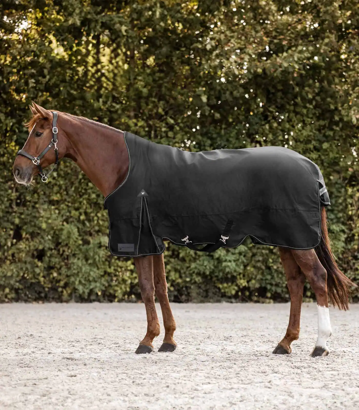 ARCTIC Turnout Rug, High Neck, 200 g black 125