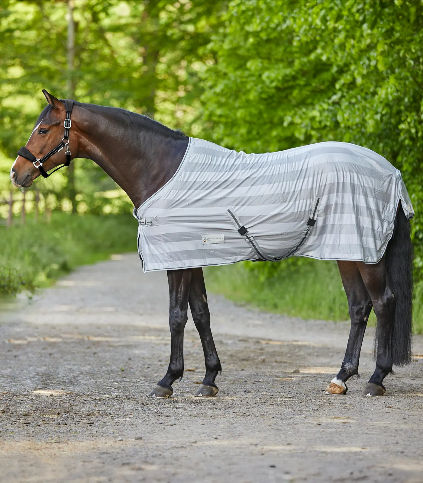 ECONOMIC Fly Sheet, with cross-surcingles silver grey/gray 165