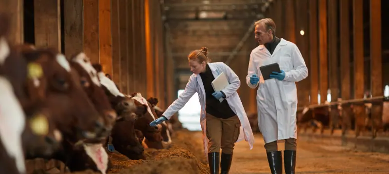 Veterinärmaterial Veterinärmaterial