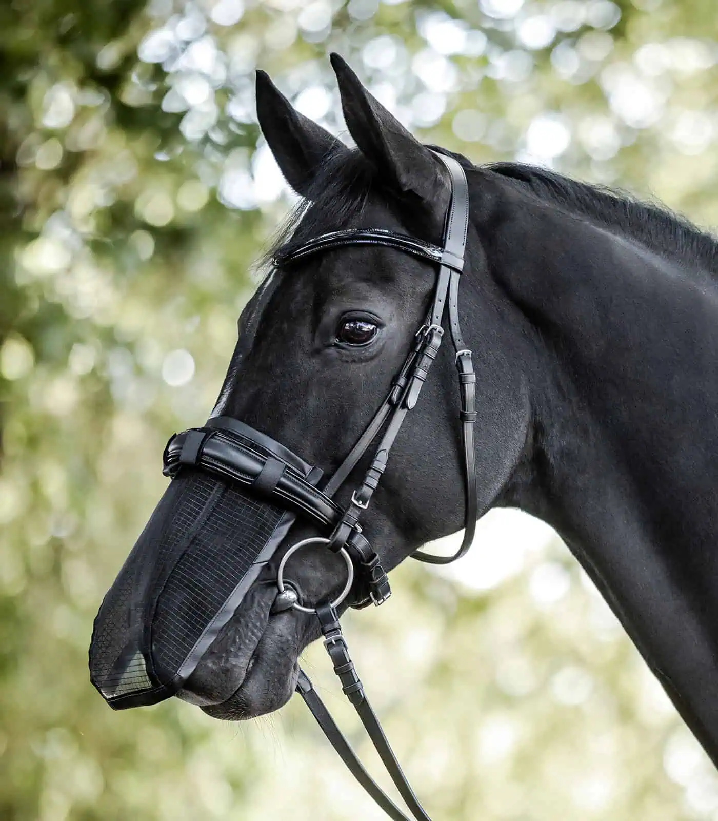 Nose Fly Shield, with UV protection black FULL