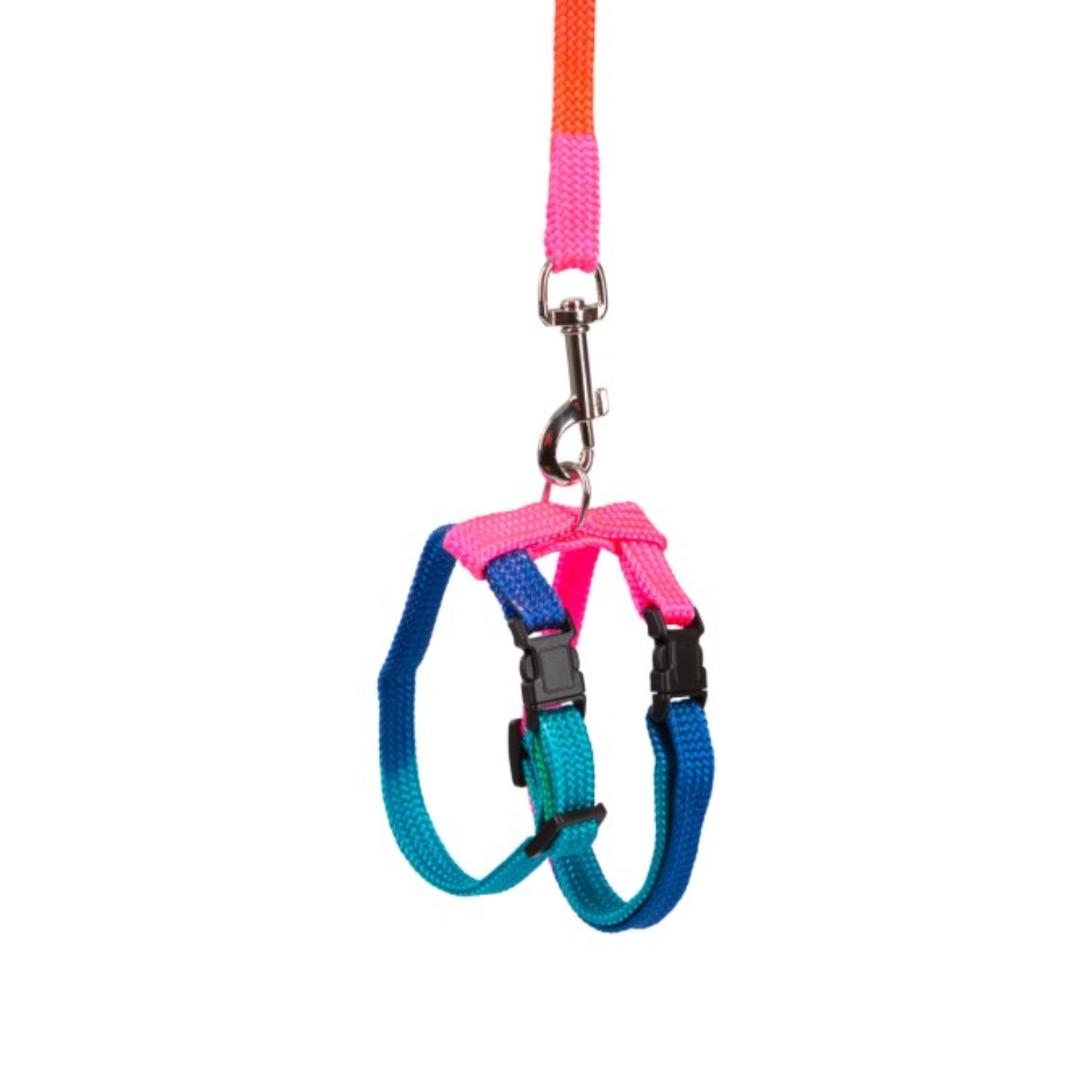 Harnesses for rabbits, assorted colours