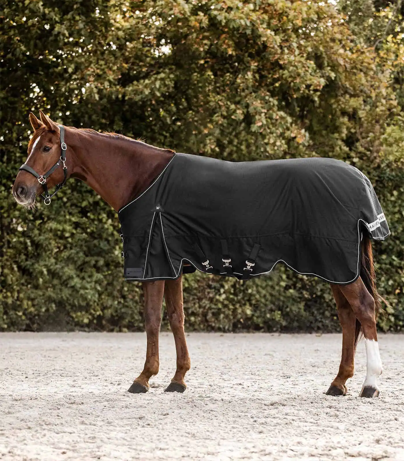 SCANDIC Turnout Rug, 200 g black 125