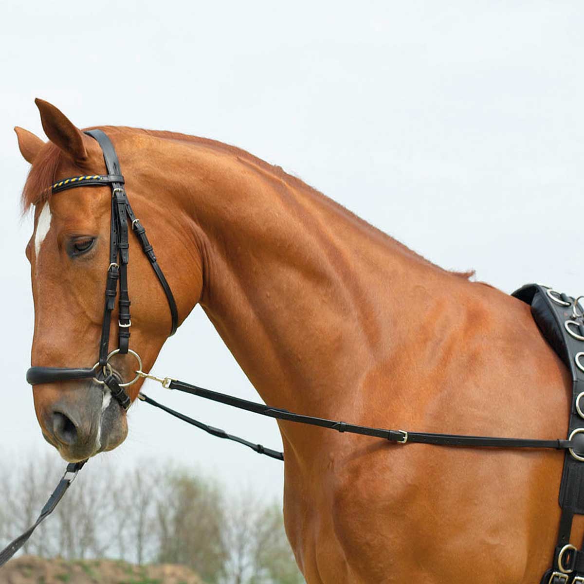 BUSSE BASIC-ELASTIK tyglar BUSSE BASIC-ELASTIK tyglar