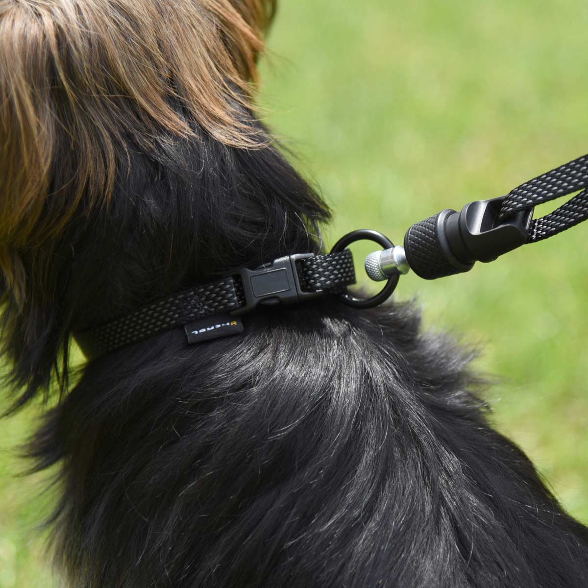 GoLeyGo 2.0 halsband för hundkoppel